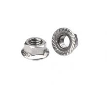 DIN6923 Hex Flange Nut